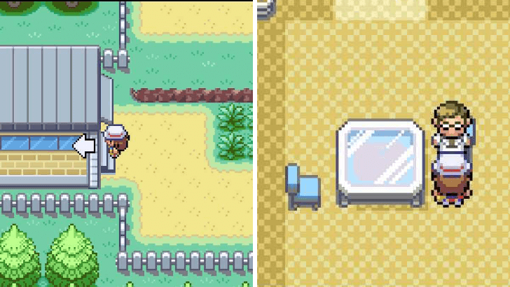 Professor Oak Aide in Route 15 - EXP Share