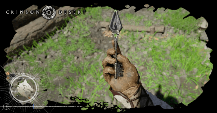 Where to Store Items