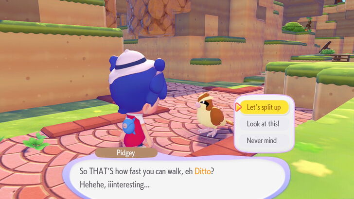 Pokemon Pokopia - Pidgey