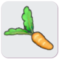 Fresh carrot