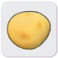 Potato