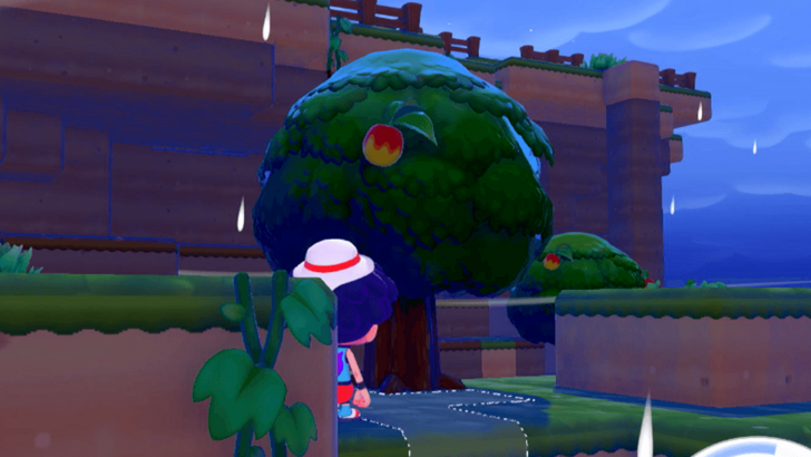 Berry Tree will Depend on the Island