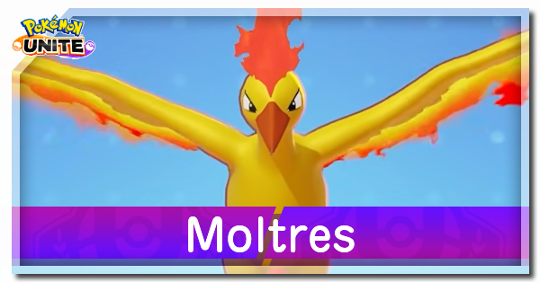 Pokemon UNITE - Moltres Guide Builds Best Items and Moveset
