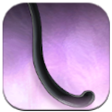 Snap Kitty Waistpiece Dark Jade