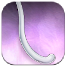 Snap Kitty Waistpiece: Opaque White