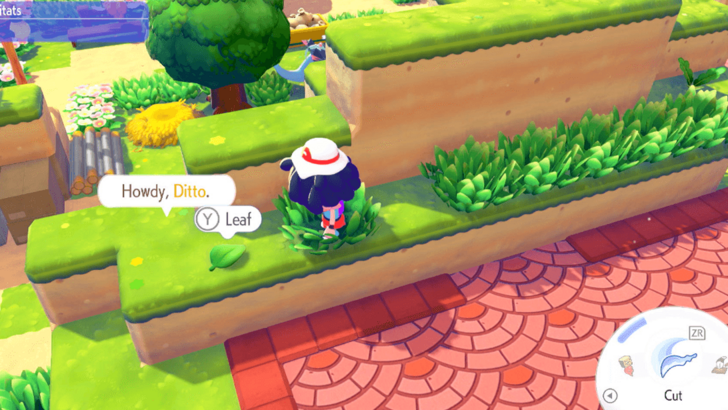 Cut Tall Grass for Leaves