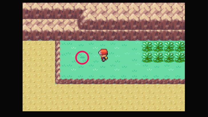 Route 24 - Pecha Berry