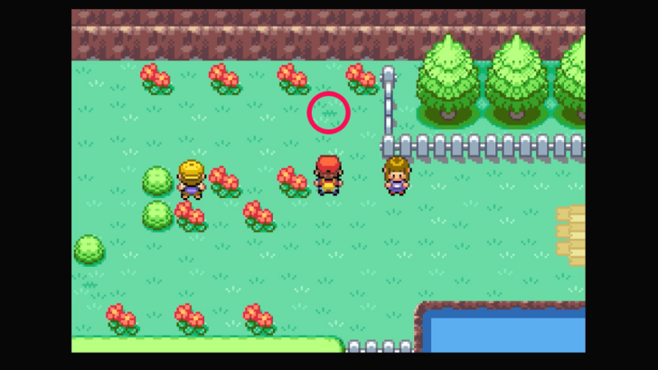 Route 25 - Bluk Berry