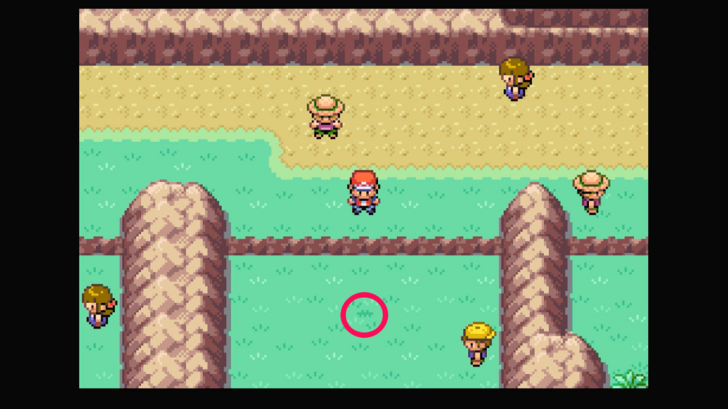 Route 3 - Oran Berry