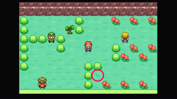 Route 25 - Oran Berry