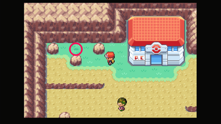 Route 4 - Persim Berry