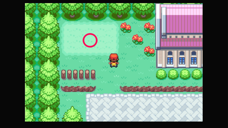 Pewter City - Poke Ball