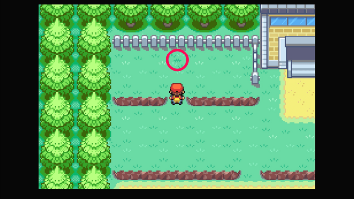 Route 6 - Sitrus Berry