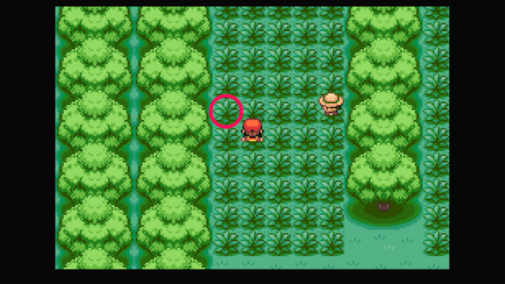 Viridian Forest - Potion