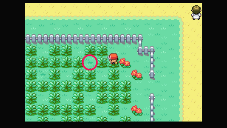 Route 8 - Rawst Berry