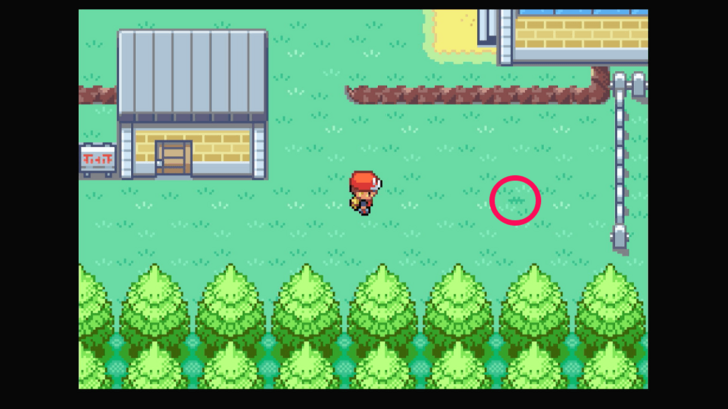 Route 7 - Wepear Berry