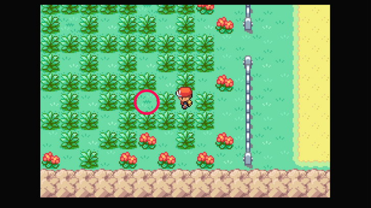 Route 8 - Leppa Berry