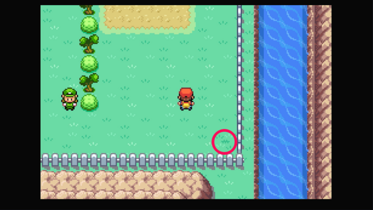 Route 10 - Persim Berry