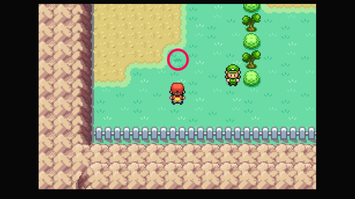 Route 10 - Cheri Berry