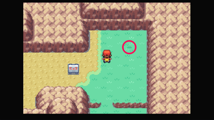 Route 10 - Nanab Berry