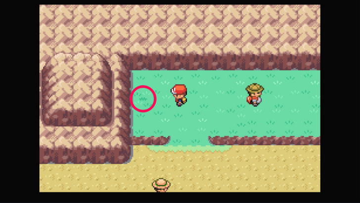 Route 9 - Chesto Berry