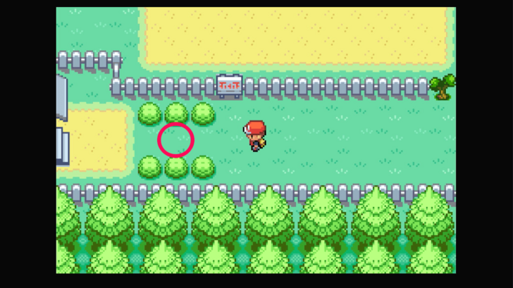 Route 16 - Leftovers