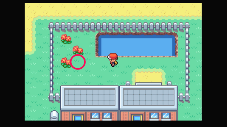 Fuchsia City - Max Revive