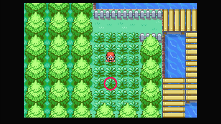 Route 12 - Rare Candy