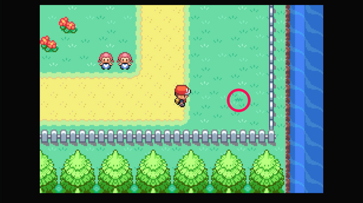 Route 14 - Pinap Berry