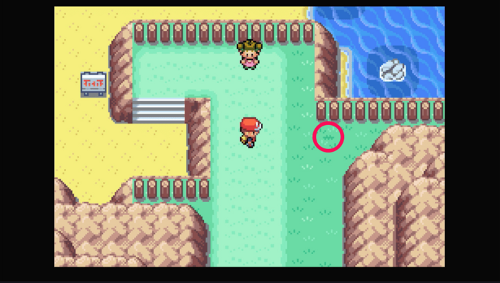 Seven Island - Nanab Berry