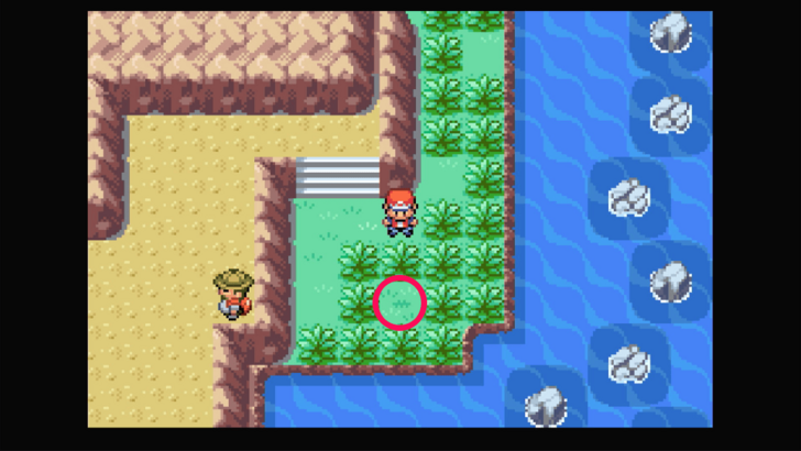 Six Island - Aspear Berry