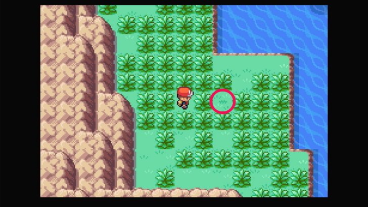 Six Island - Pinap Berry