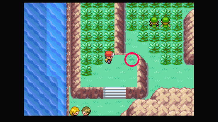 Seven Island - Rawst Berry