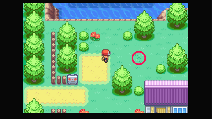 Six Island - Oran Berry