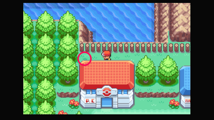 Six Island - Leppa Berry