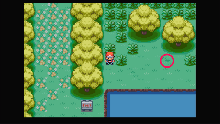 Berry Forest - Cheri Berry