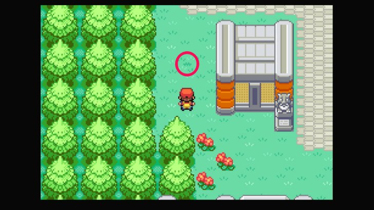 Route 23 - Leppa Berry