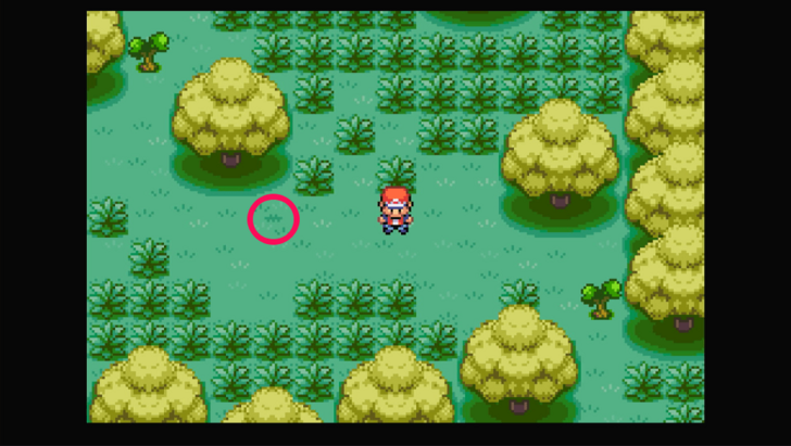 Berry Forest - Bluk Berry