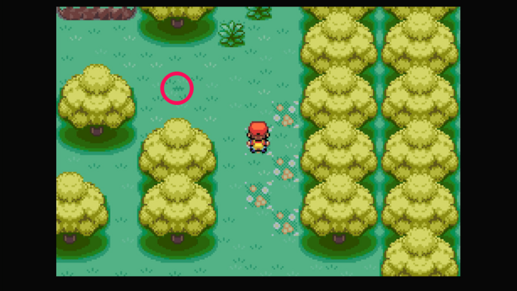 Berry Forest - Pinap Berry