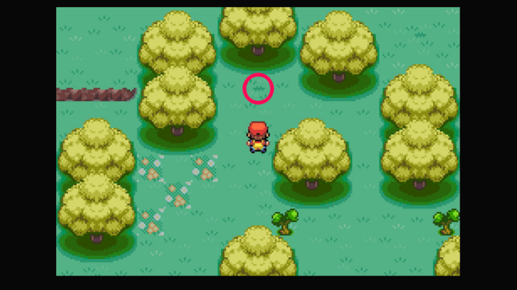 Berry Forest - Oran Berry