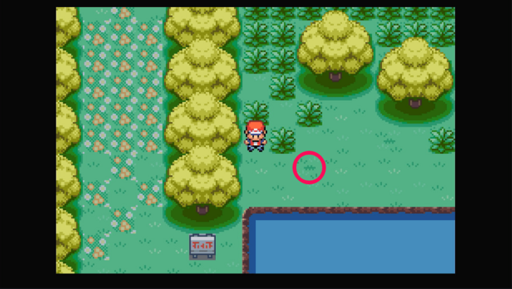 Berry Forest - Wepear Berry