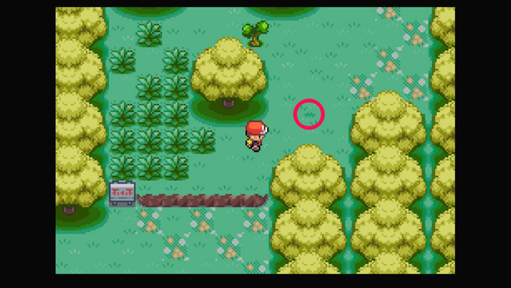 Berry Forest - Persim Berry