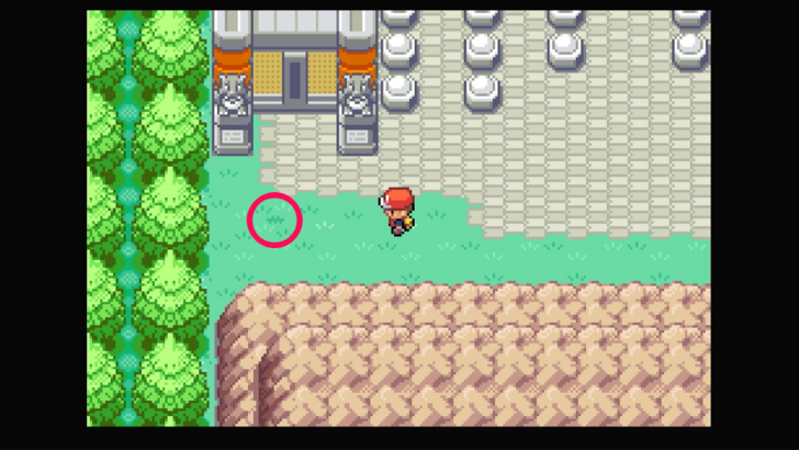 Route 23 - Lum Berry