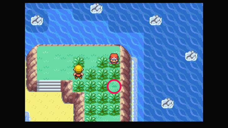 Five Island - Razz Berry