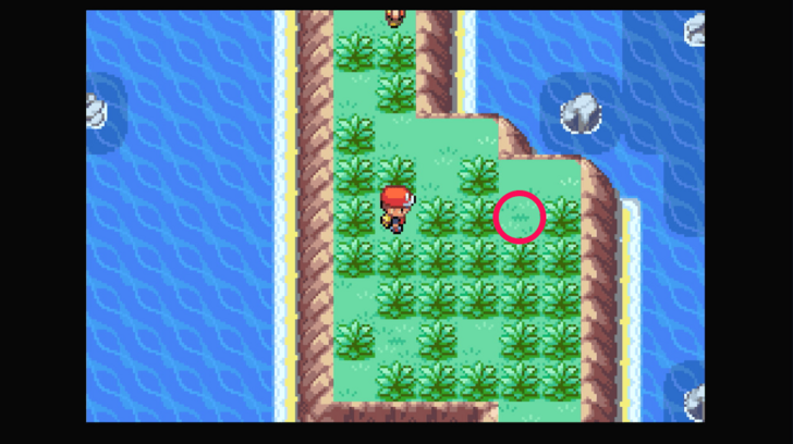 Five Island - Sitrus Berry