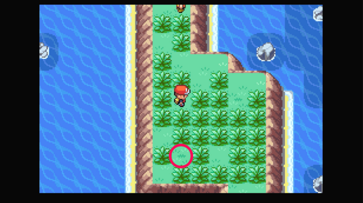 Five Island - Bluk Berry