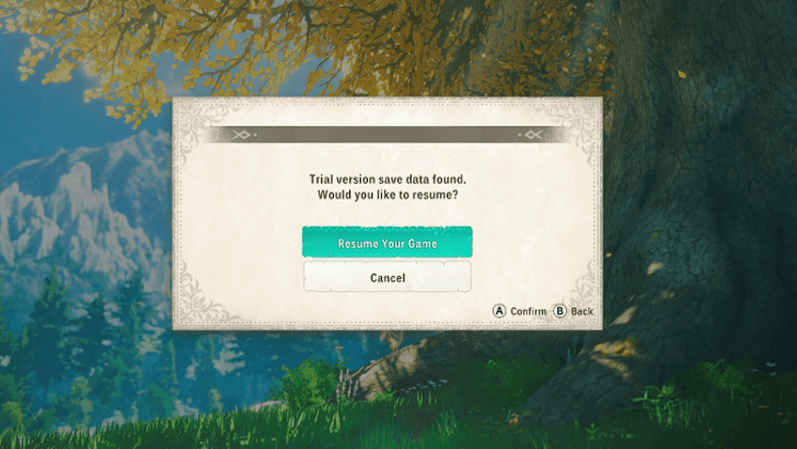 Confirm Trial Version Save Data