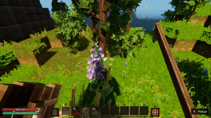 everwind lillies in a pasture