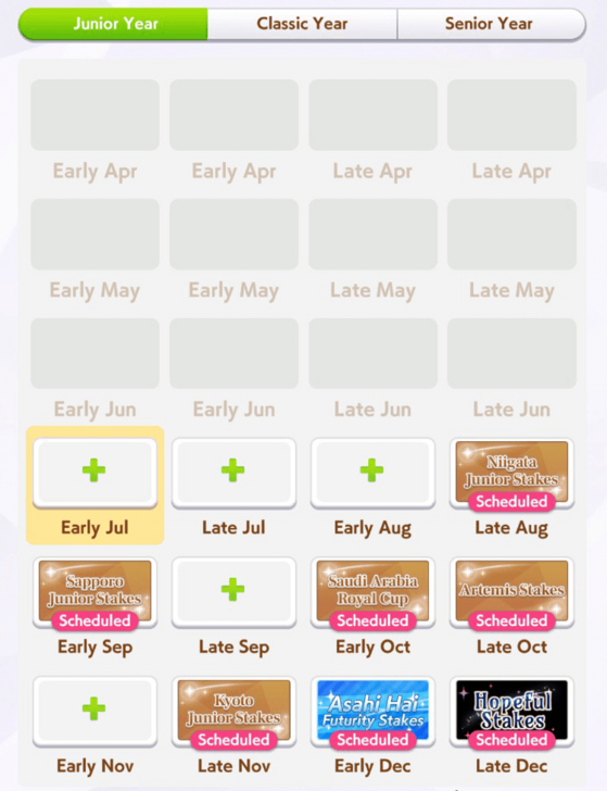 Turf Mile Long Race Junior