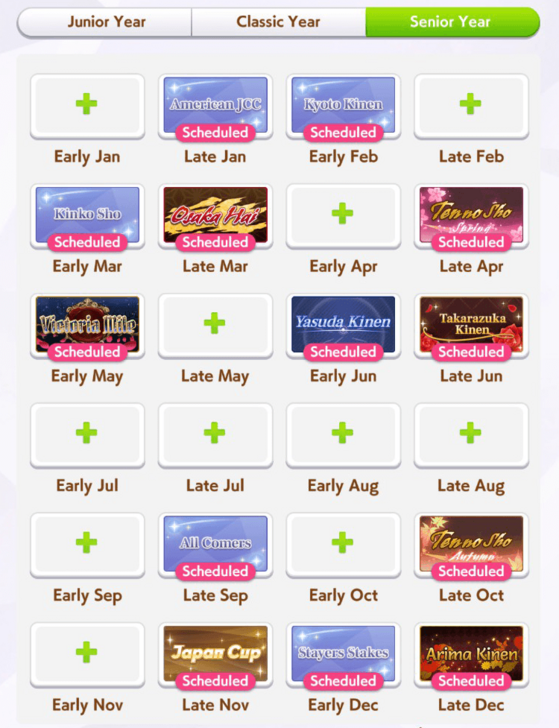 Turf Mile Long Race Senior